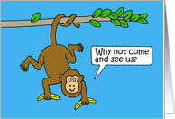 National Visit the Zoo Day December 27th Cute Cartoon Monkeys card