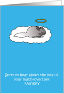 Loss of Pet Chinchilla Cartoon to Personalize with any Name card