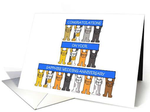 Sapphire Wedding Anniversary 65th Cartoon Cats Holding Up Banners card