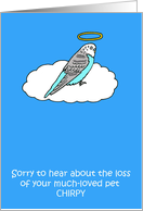 Loss of Pet Bird...