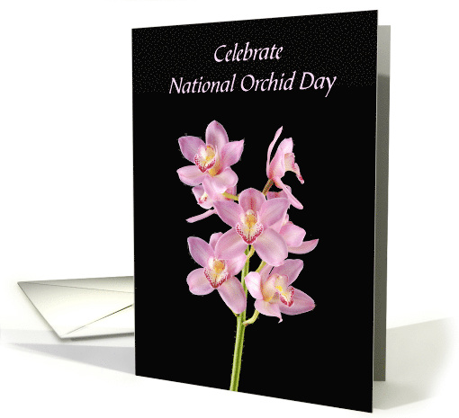 National Orchid Day April 16th Stem of Beautiful Pink Orchids card