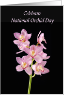 National Orchid Day...
