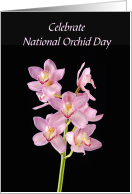 National Orchid Day April 16th Stem of Beautiful Pink Orchids card