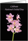 National Orchid Day April 16th Stem of Beautiful Pink Orchids card