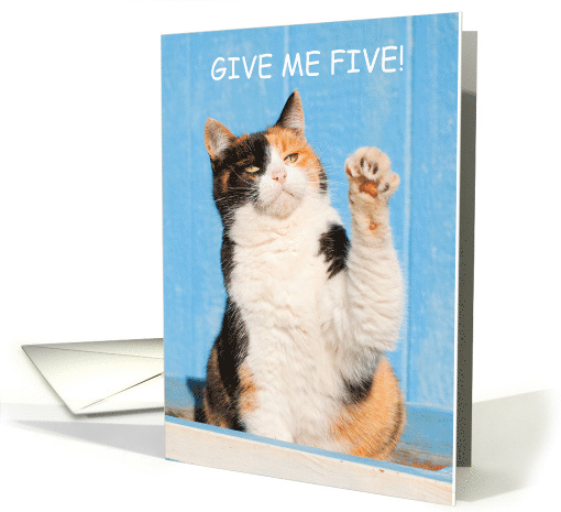 National High 5 Day April Funny Tortoiseshell Cat card (1521992)