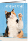 National High 5 Day April Funny Tortoiseshell Cat card