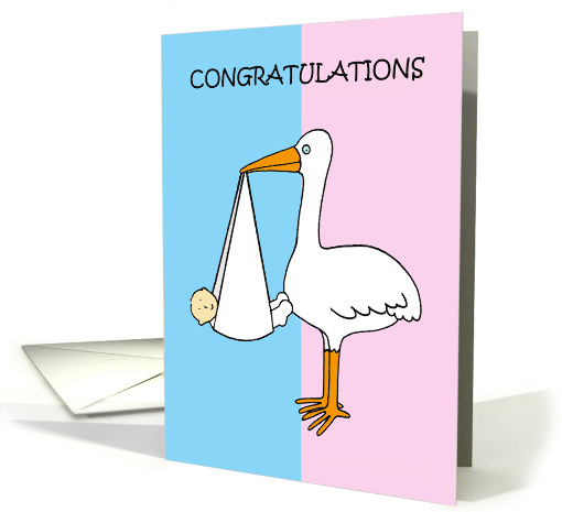 Gender Reveal Baby Shower Congratulations Gift Stork and Baby Fun card