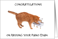 Congratulations on Passing Piano Exam Ginger Cat Playing a Piano card