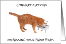 Congratulations on Passing Piano Exam Ginger Cat Playing a Piano card