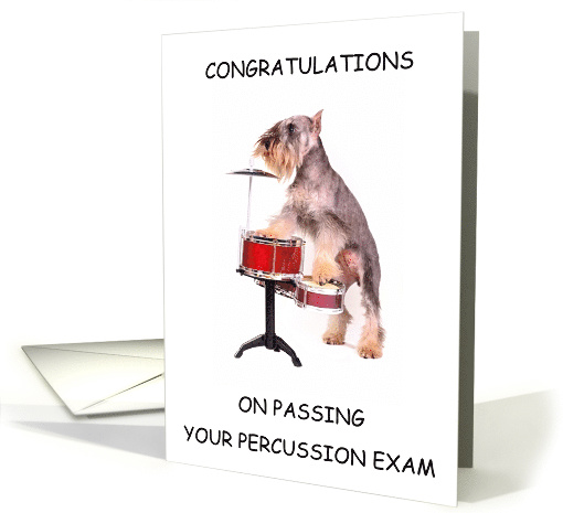 Congratulations on Passing Percussion Exam Dog Playing Drum Kit card