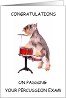 Congratulations on Passing Percussion Exam Dog Playing Drum Kit card