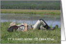 National Go Fishing Day June 18th Sleeping Fisherman on Riverbank card