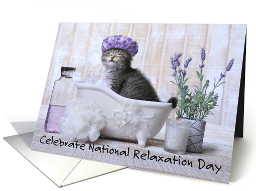 National Relaxation Day August 15th Pampered Kitten in a Bathtub card