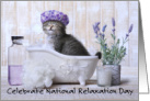National Relaxation Day August 15th Pampered Kitten in a Bathtub card
