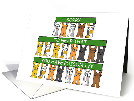 Get Well Soon from Poison Ivy Cartoon Cats Holding Banners card
