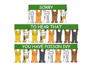 Get Well Soon from Poison Ivy Cartoon Cats Holding Banners
