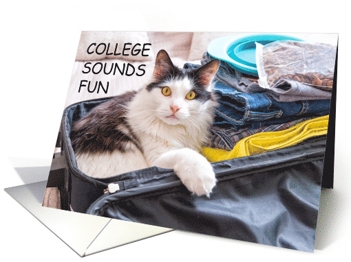 Off to College Missing You Already from Friend Cat in a Suitcase card