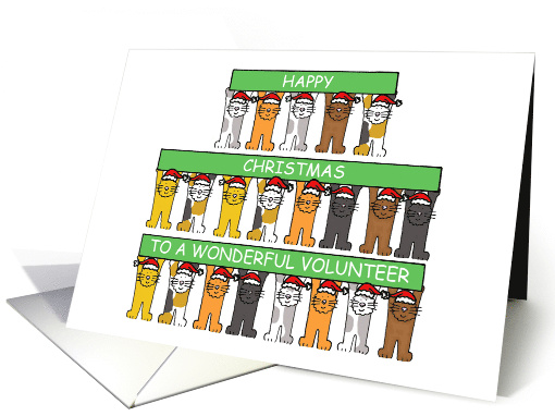 Happy Christmas to Volunteer Cartoon Cats Wearing Santa Hats card