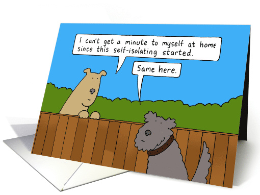 Coronavirus Self-isolating Talking Dogs Cartoon Humor card (1612466)