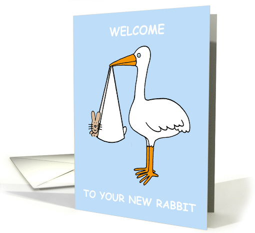 Congratulations on New Pet Rabbit Cartoon Stork and Bunny card