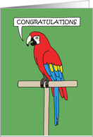 Congratulations on New Pet Bird Macaw Parrot card