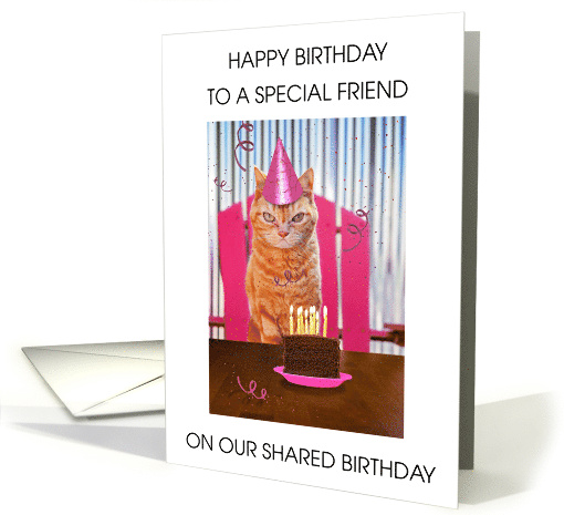 Friend Happy Shared Mutual Same Day Birthday Grumpy Cat Humor card
