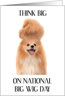 National Big Wig Day January Pomeranian Dog with Large Wig card