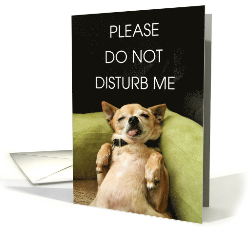 National Napping Day March 15th Chihuahua Dog Sleeping card (1676912)