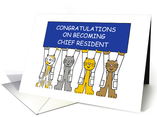 Congratulations on Becoming Chief Resident Cats Wearing... (1680594)