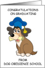 Congratulations Graduation From Dog Obedience School card