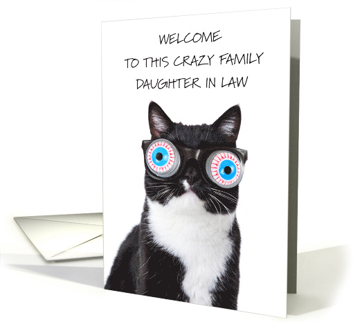 Welcome to this Crazy Family Daughter in Law Cat Wearing Goggles card