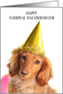 National Dachshund Day June 21st Dog in Party Hat card