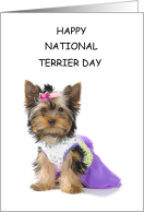 National Terrier Day March 27th Yorkshire Terrier Dressed to Impress card