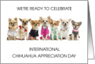 International Chihuahua Appreciation Day May14th card