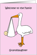 Welcome to the Family Granddaughter Cartoon Stork and Baby Girl card