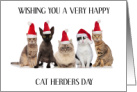 National Cat Herders Day December 15th Cats in Santa Hats card