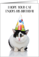 Happy Birthday to Black and White Pet Cat card