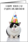 Happy Birthday to Black and White Pet Cat card