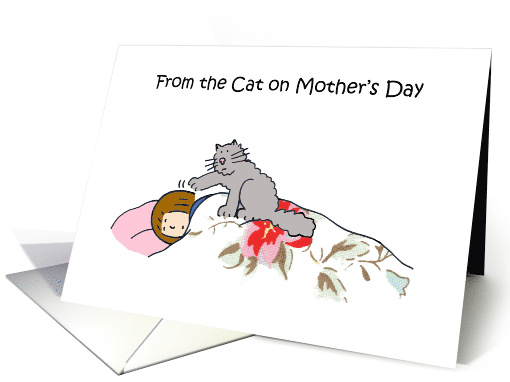 Happy Mother's Day from the Grey Cat Cartoon Humor Lady Sleeping card