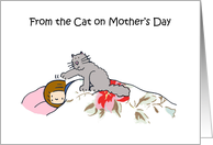 Happy Mother’s Day from the Grey Cat Cartoon Humor Lady Sleeping card