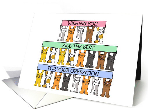 Good Luck for Your Operation Cartoon Cats Holding Banners card