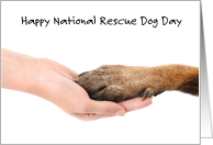 National Rescue Dog Day May 20th Hand Holding a Dog’s Paw card