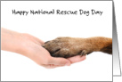 National Rescue Dog Day May 20th Hand Holding a Dog’s Paw card