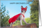 Brother’s Day May 23rd Superhero Dog in Mask and Cape card