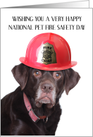 National Pet Fire Safety Day July 15th Labrador in Firefighter Helmet card