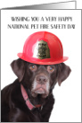 National Pet Fire Safety Day July 15th Labrador in Firefighter Helmet card