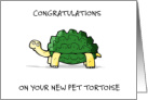 Congratulations New Pet Tortoise card