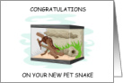 Congratulations New Pet Snake in a Terrarium card