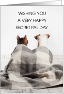 Secret Pal Day January 11th Cat and Dog Friendship card
