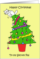 Happy Christmas to Secret Pal Cartoon White Cat Up a Festive Tree card